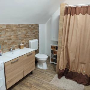 塞克萨德佩特拉温德加兹酒店的一间带卫生间和淋浴帘的浴室
