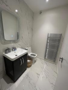伦敦Lovely 1-bedroom flat with Patio的一间带水槽、卫生间和镜子的浴室