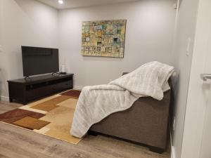 卡尔加里2-Bedroom Guest Suite的带沙发和电视的客厅