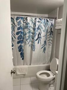 马丁斯堡Spacious 3 Bedroom Home in Martinsburg WV.的一间带卫生间和淋浴帘的浴室