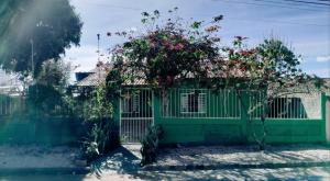 戈亚斯州上帕莱索Casa central aconchegante的绿 ⁇ ,灌木丛上放着鲜花
