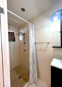 威廉斯塔德Dushi Apartments的带淋浴和浴帘的浴室