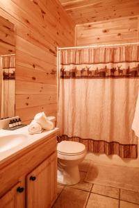 赛维尔维尔Expansive Mountain Views, Theater, Games, Hot Tub, Relaxing porches的一间带卫生间和淋浴帘的浴室