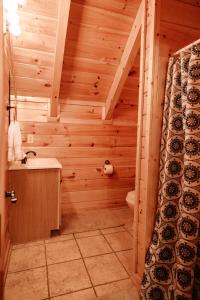 赛维尔维尔Expansive Mountain Views, Theater, Games, Hot Tub, Relaxing porches的一间带木墙和水槽的浴室