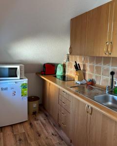 利波瓦拉尼Apartmama Lipová的厨房配有白色冰箱和水槽
