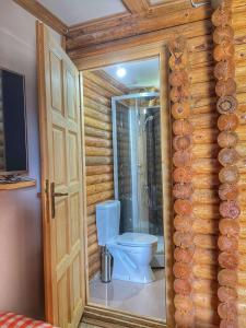 ZaovineTara Land Lake的木质墙壁的客房内设有带卫生间的浴室