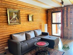 ZaovineTara Land Lake的客厅配有沙发和木墙画