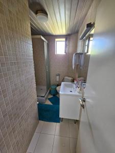 普里莱普Central apartment in Prilep的一间带水槽和卫生间的浴室