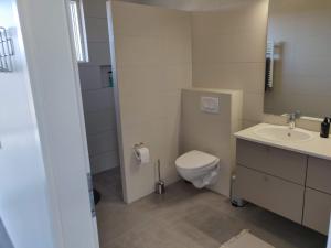 米湖Mývatn apartments的一间带卫生间和水槽的浴室
