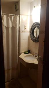 蒙得维的亚Apartamento Paseo del Lago的一间带水槽和淋浴帘的浴室