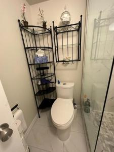 列治文山Basement apartment的白色的浴室设有卫生间和淋浴。