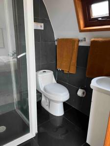 库里科Casa Rural Curicó - Apartamentos的一间带卫生间和淋浴的小浴室