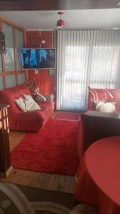 卡内拉Casa em Canela RS的客厅配有红色沙发和红色地毯