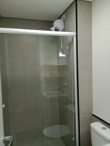 马里利亚Studio 811的一间带卫生间的浴室内的玻璃淋浴间