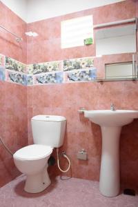 阿努拉德普勒Meegahapokuna Resort的一间带卫生间和水槽的浴室