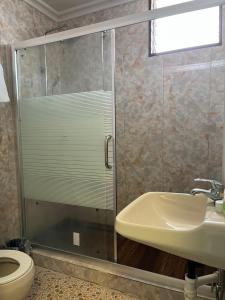 科洛尼亚CHINA STAR HOTEL的浴室设有玻璃淋浴间、水槽和卫生间