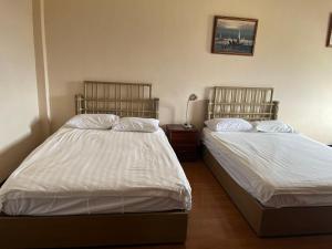 科洛尼亚CHINA STAR HOTEL的一间卧室配有两张床和一盏灯。