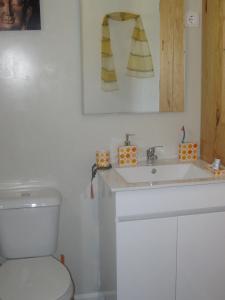 蓬蒂-达巴尔卡Casa Do Pinheiral的一间带卫生间和水槽的浴室