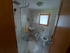 拉多夫吉卡Apartma Markelj的带淋浴、卫生间和盥洗盆的浴室
