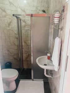 吉雷松Hobbitköy giresun的带淋浴、水槽和卫生间的浴室