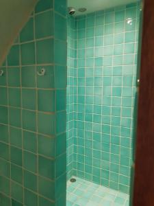 博迪昂Studio en voûte的浴室设有蓝色瓷砖淋浴和卫生间