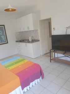安塔利亚Beldibi Apart Homes的厨房配有彩虹毯子,位于地板上