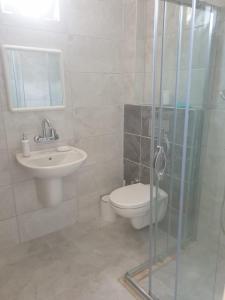 安塔利亚Beldibi Apart Homes的浴室配有卫生间、盥洗盆和淋浴。