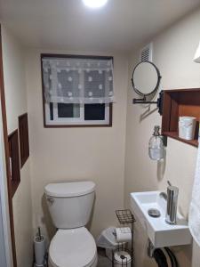 Papa Bay EstatesCountry Cottage in Papa Bay的一间带卫生间和水槽的浴室