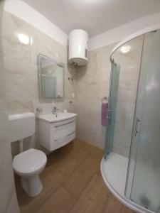 科尔丘拉Accommodation Drasko的浴室配有卫生间、盥洗盆和淋浴。