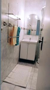 厄米森德FAMILY APARTMENT的带淋浴、盥洗盆和镜子的浴室