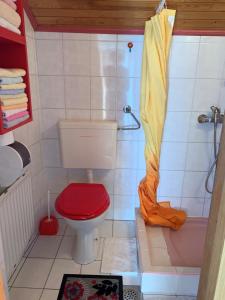 AdlešičiTURIZEM GRABRIJAN, Jasmina Grabrijan s.p.的一间带红色卫生间和淋浴的浴室