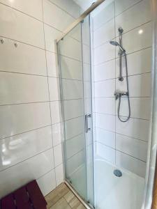 萨比诺瓦Tropikalny Zakątek的浴室里设有玻璃门淋浴