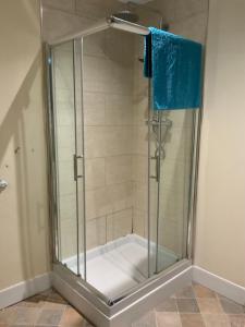 卡斯尔福德Wheldale Hotel的浴室里设有玻璃门淋浴