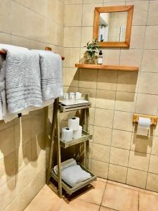 德班维尔10VDW Self Catering Apartments的一间带毛巾架和镜子的浴室