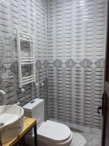卡兹贝吉Sunny guesthouse的一间带卫生间和水槽的浴室