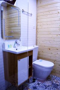 安布罗劳里Panorama Racha的一间带卫生间、水槽和镜子的浴室