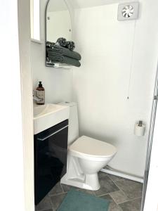 HjältebySea view chalet的一间带卫生间、水槽和镜子的浴室