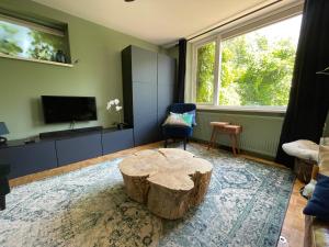 OudendijkIvy Cottage near Amsterdam的客厅配有原木咖啡桌和电视