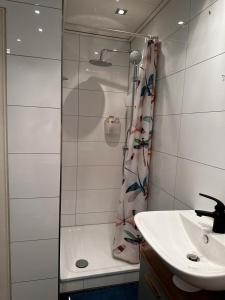 杜伊斯堡A&V Apartments Wunderschöne Rheinblick Wohnung zum entspannen的带淋浴和盥洗盆的浴室