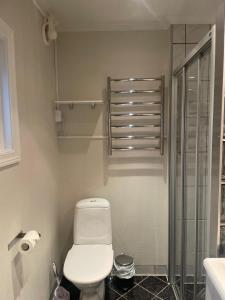 莫吕Måløy City Center - Château Kvalheim的一间带卫生间和淋浴的浴室