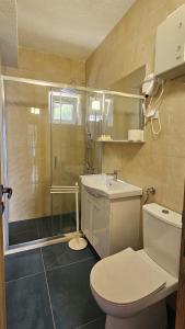奈维斯All'oro的带淋浴、卫生间和盥洗盆的浴室