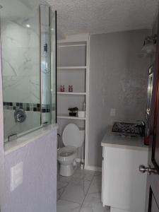 圣萨尔瓦多Residencia preciosa de 2 planta的一间带卫生间和玻璃淋浴间的浴室