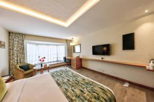 浦那中央公园酒店的配有一张床和一台平面电视的酒店客房