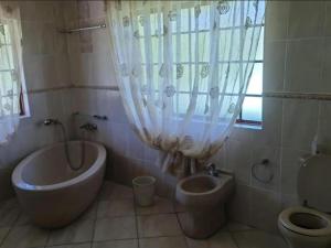 MtubatubaThe Sanctuary - Self Catering Accommodation的带浴缸、卫生间和盥洗盆的浴室