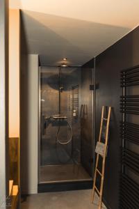 西内Le Clos du Rempart Suite & Jacuzzi的玻璃门和梯子的淋浴