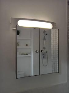 格雷夫森德Heronsgate GH015的浴室里设有镜子,里面装有淋浴