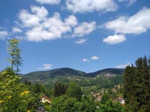比桑Les Sapins的享有树木和山脉的山谷美景