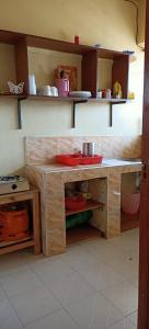 MigoriAkira Safaris Furnished Apartment的厨房配有带水槽的台面