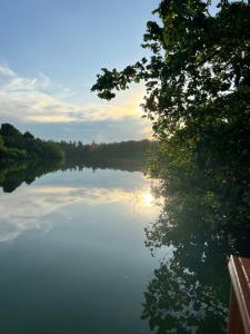 瓜拉弄宾Sungai endau bilik homestay的一条阳光反射在水面上的河流
