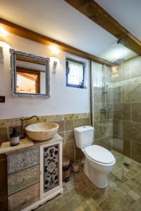 下维谢乌乡Cabana din Revier的浴室配有卫生间、盥洗盆和淋浴。